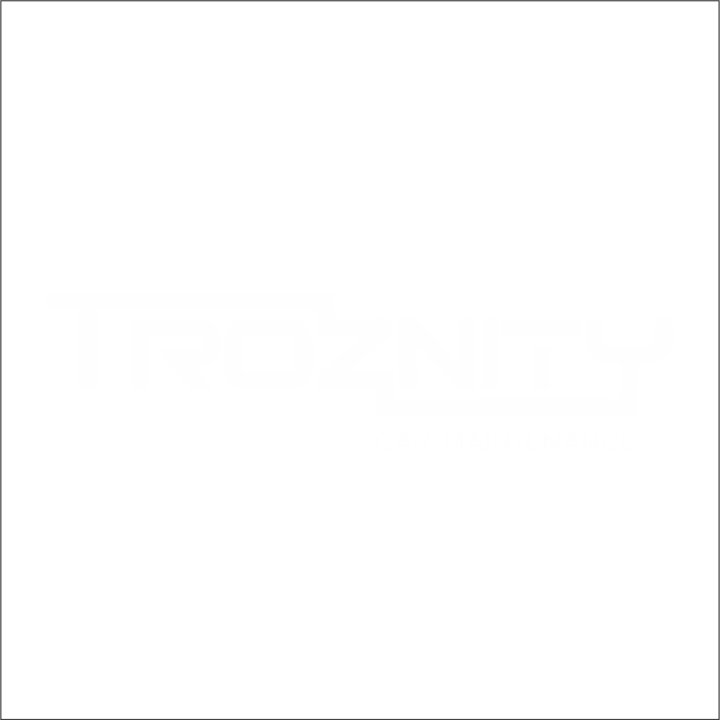 LOGO TROZNITY