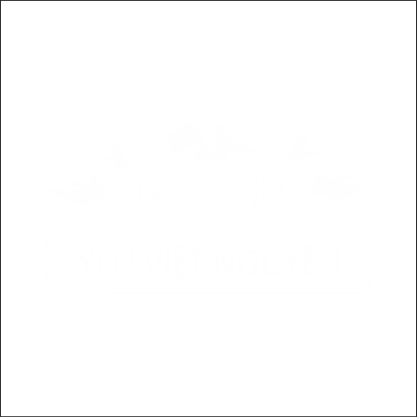 LOGO YVN