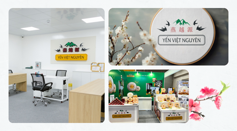 YẾN VIỆT NGUYÊN – THIẾT KẾ LOGO (1)